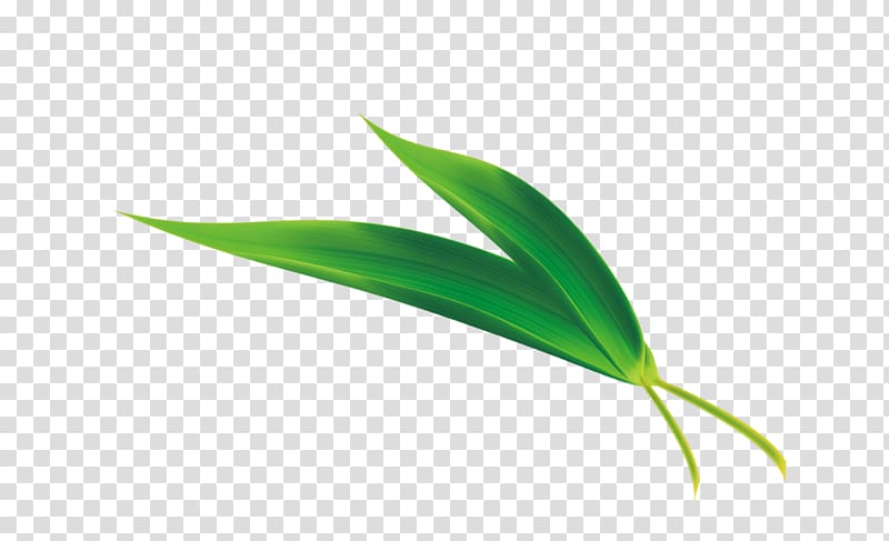 bamboo leaves png