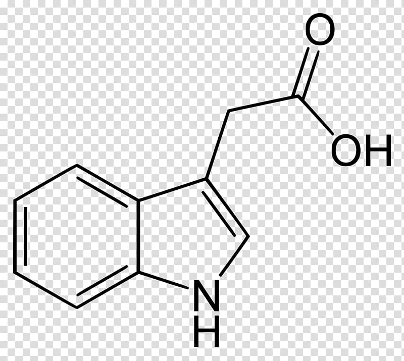 Indole-3-acetic acid Indole-3-butyric acid Auxin Plant hormone, plant transparent background PNG clipart