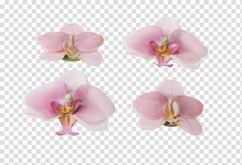 Flower Orchids Pond Garden Plant, floating transparent background PNG clipart