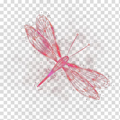 Butterfly Butterflies and moths Pattern, Red Dragonfly transparent background PNG clipart
