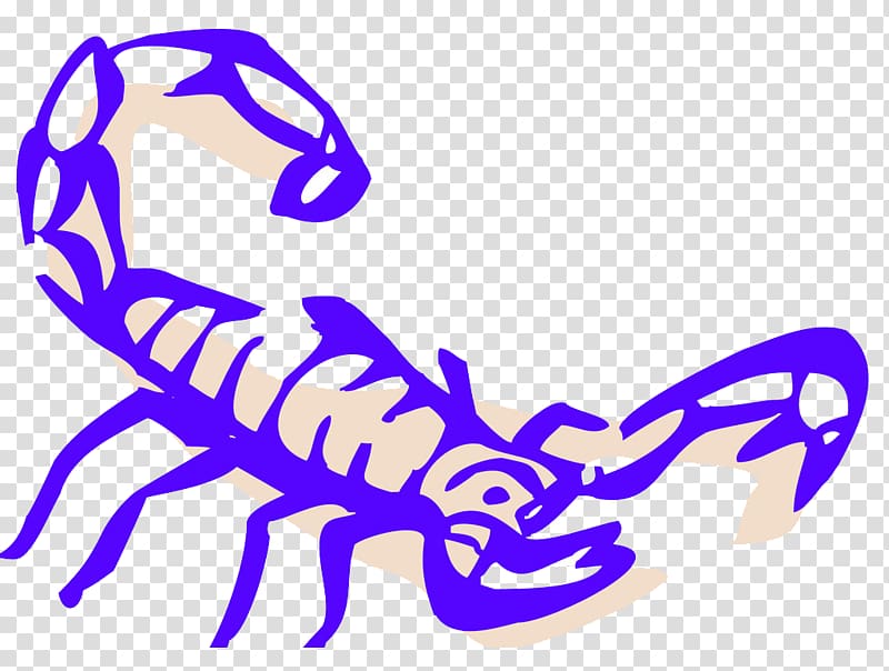 Scorpion Drawing , Exaggerated lines painted purple scorpion transparent background PNG clipart