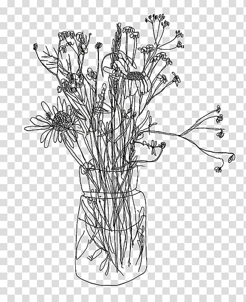 Contour drawing Line art Floral design Sketch, flower transparent background PNG clipart