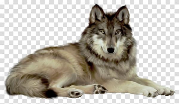 Wolf transparent background PNG clipart