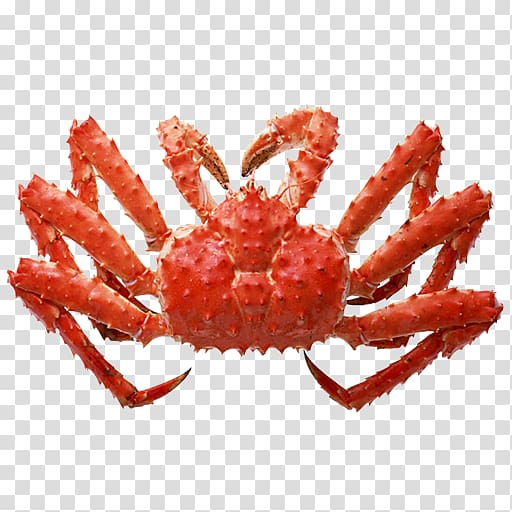 Red king crab Seafood, crab transparent background PNG clipart