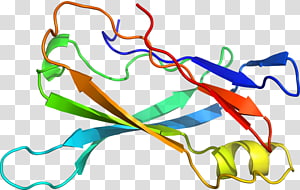 Line Point Organism , line transparent background PNG clipart thumbnail