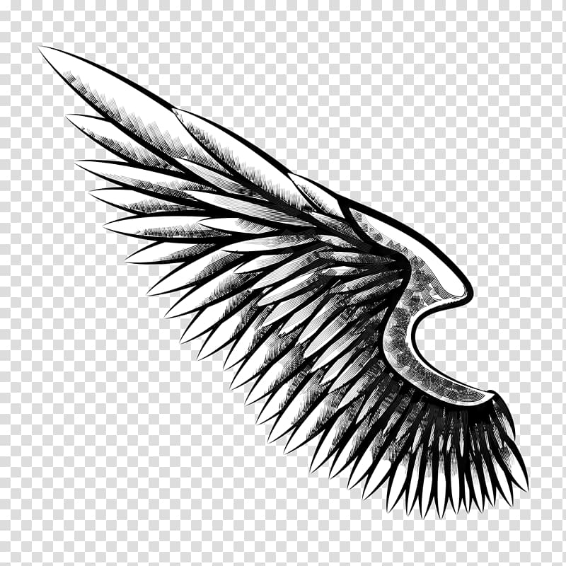 white wing art, Firearm Gun Drawing Sketch, eagle wings tattoo transparent background PNG clipart