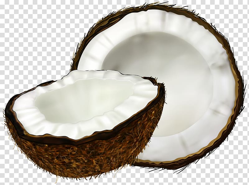 coconut illustration, Coconut water Coconut milk Coconut cake, Coconut transparent background PNG clipart