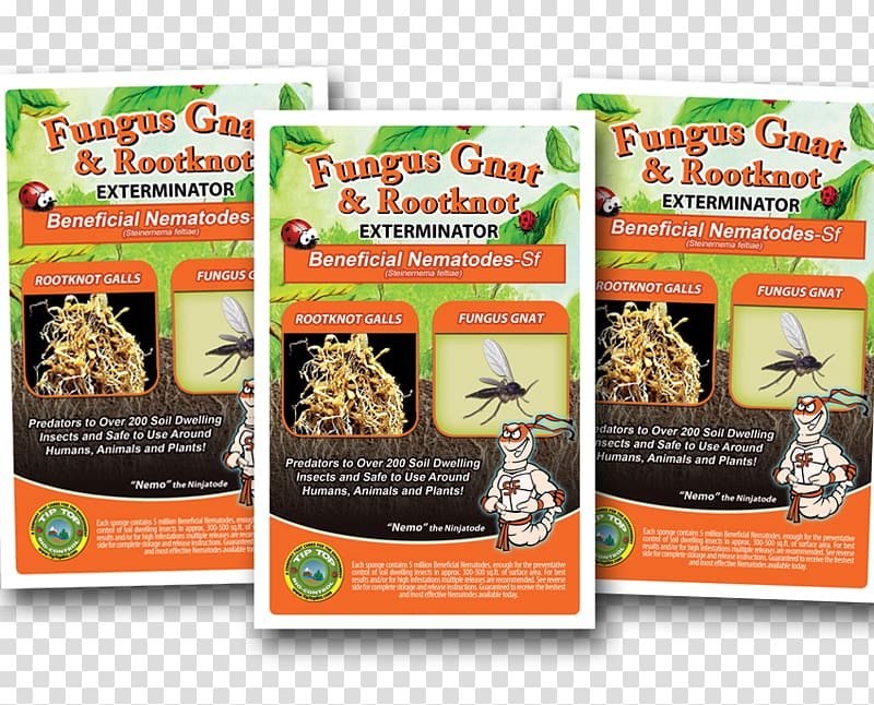 Fungus gnat Insect Heterorhabditis bacteriophora Roundworms, insect transparent background PNG clipart