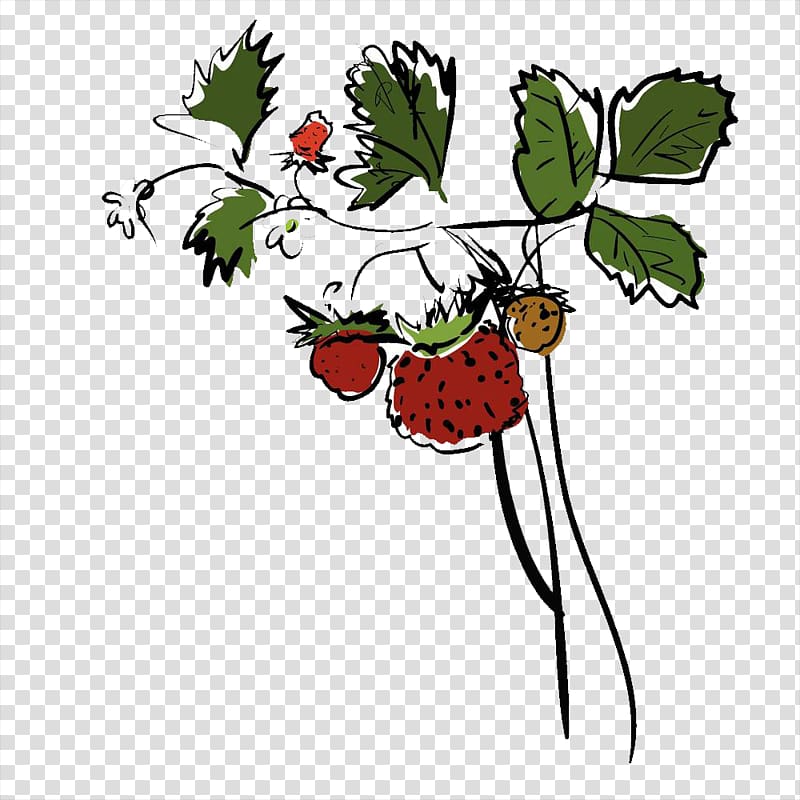 Strawberry Drawing, Hand-painted strawberry results transparent background PNG clipart