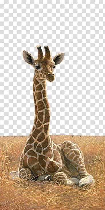 Northern giraffe Rothschilds giraffe Okapi Painting Art, giraffe transparent background PNG clipart