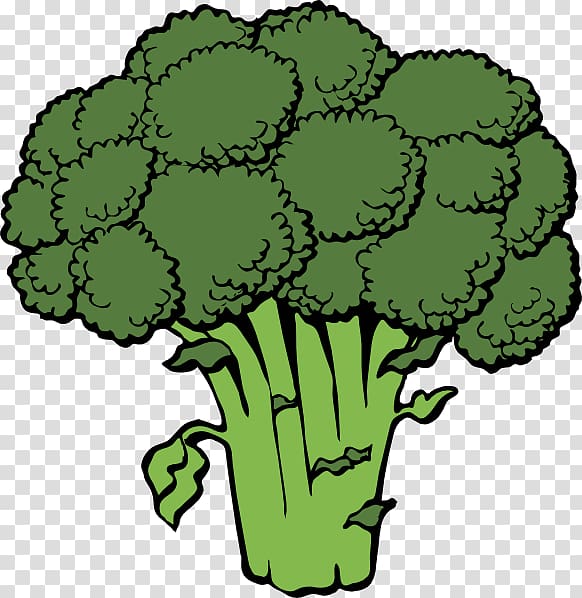 Broccoli slaw Vegetable , Vegtable transparent background PNG clipart