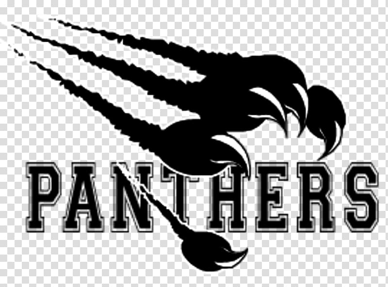 Carolina Panthers Thonon Black Panthers American football Ligue Élite de Football Américain , american football transparent background PNG clipart