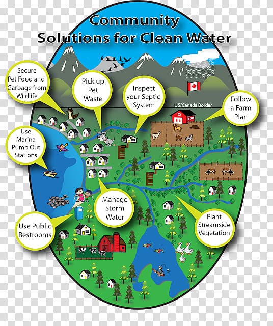 Whatcom County, Washington Fecal coliform Coliform bacteria Pollution, conservation of water transparent background PNG clipart