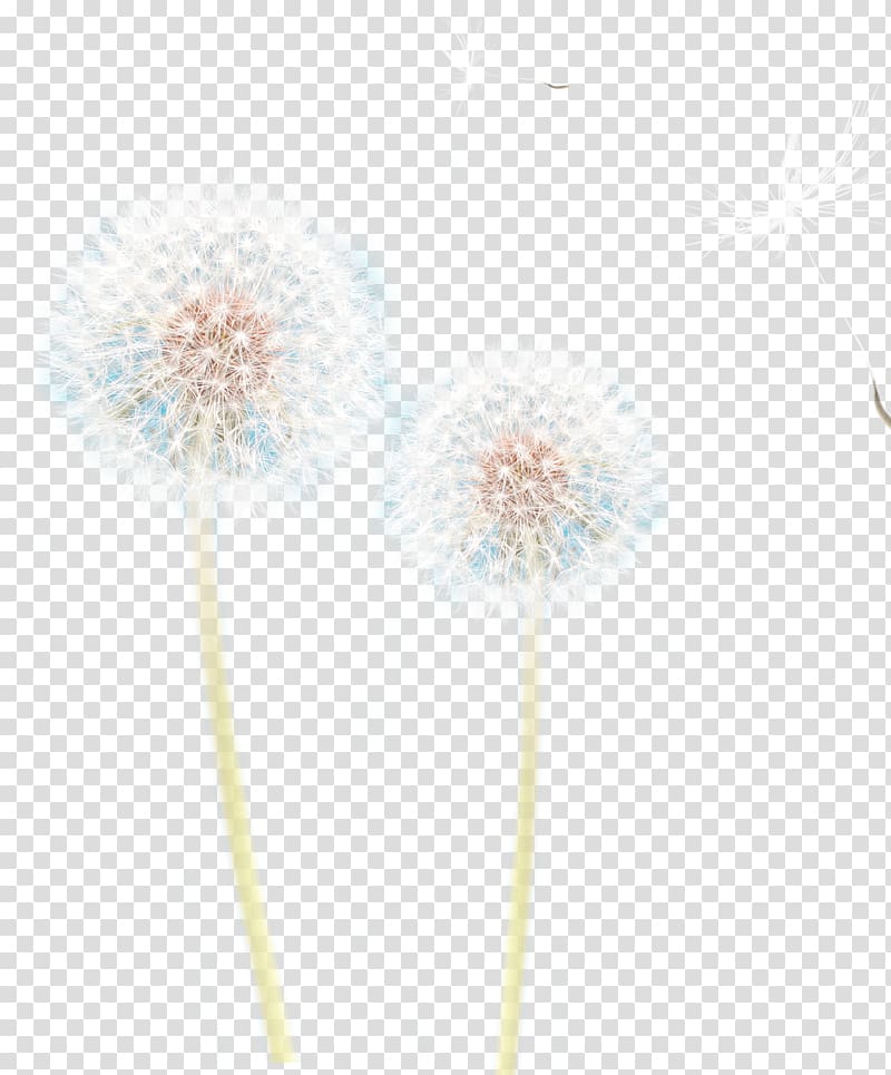 Petal Purple Pattern, Creative dandelion decoration transparent background PNG clipart