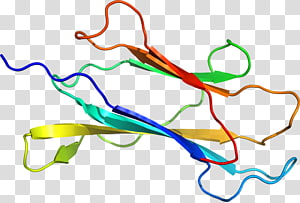 Line Point , line transparent background PNG clipart thumbnail