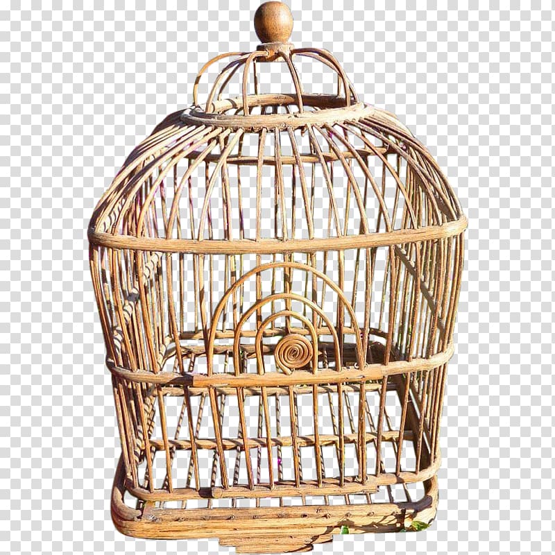 Birdcage Birdcage Domestic canary Aviary, Bird transparent background PNG clipart
