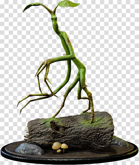 Newt Scamander Fantastic Beasts and Where to Find Them Film Series Bowtruckle Magical creatures in Harry Potter Wizarding World, Fantastic beasts transparent background PNG clipart