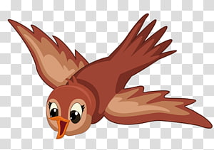 Bird Cartoon png download - 600*859 - Free Transparent Hooh png