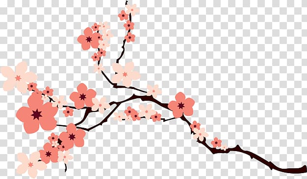 Sakura transparent background PNG clipart