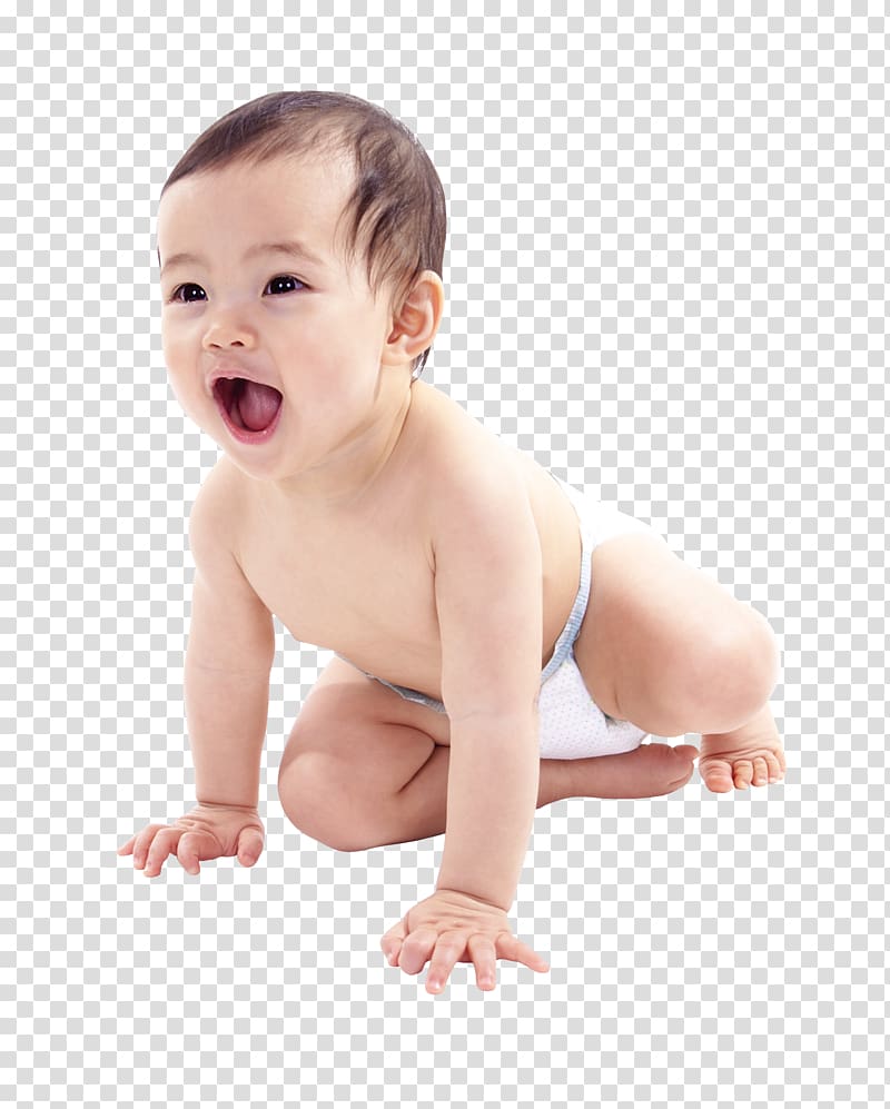 Infant , ley seca meme transparent background PNG clipart