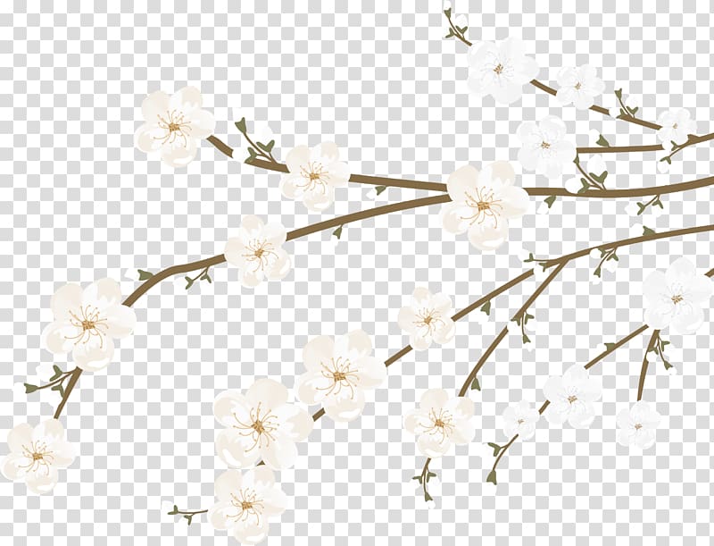 white flowers on branch illustration, Cherry blossom Euclidean , Sakura decoration transparent background PNG clipart