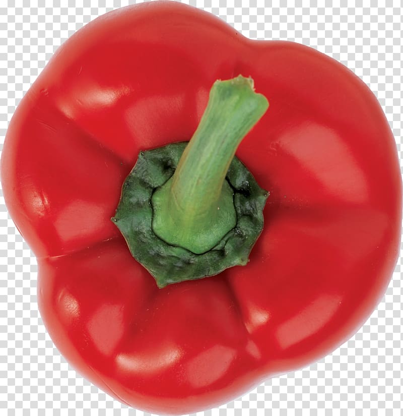 Bell pepper Cayenne pepper Cocido Chili pepper Vegetable, Red Pepper transparent background PNG clipart