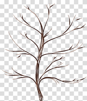 Cartoon Drawing, Hand-drawn cartoon tree transparent background PNG clipart thumbnail