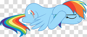 Rainbow Dash , Little Pony Rainbow Dash transparent background PNG clipart thumbnail