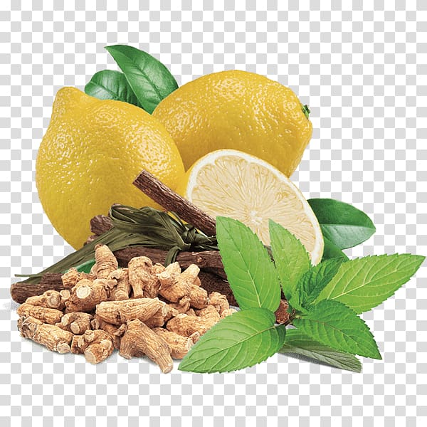 Vegetarian cuisine Lemon Basil Liquorice Mints, lemon transparent background PNG clipart