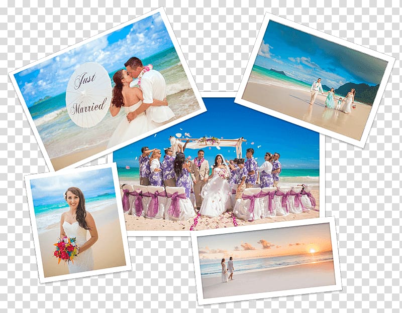 Wedding chapel Frames Wedding Wedding reception, wedding transparent background PNG clipart
