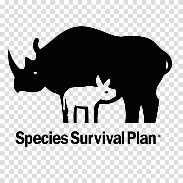 Asian elephant Endangered species Species Survival Plan Zoo Red panda, Endangered Species Recovery Plan transparent background PNG clipart