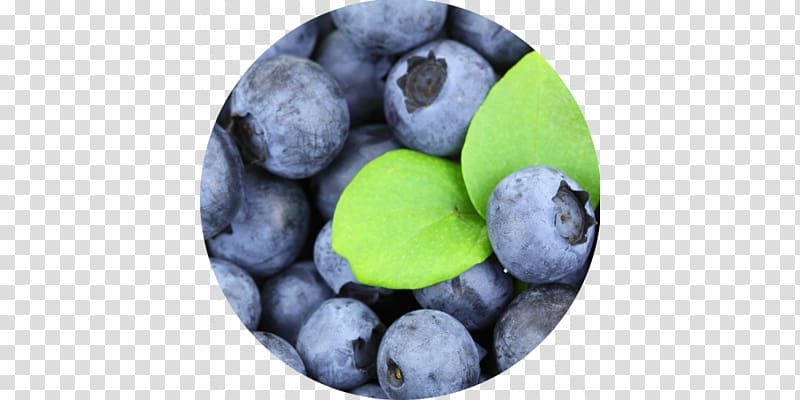 Blueberry pie Organic food Apple juice, blueberry transparent background PNG clipart