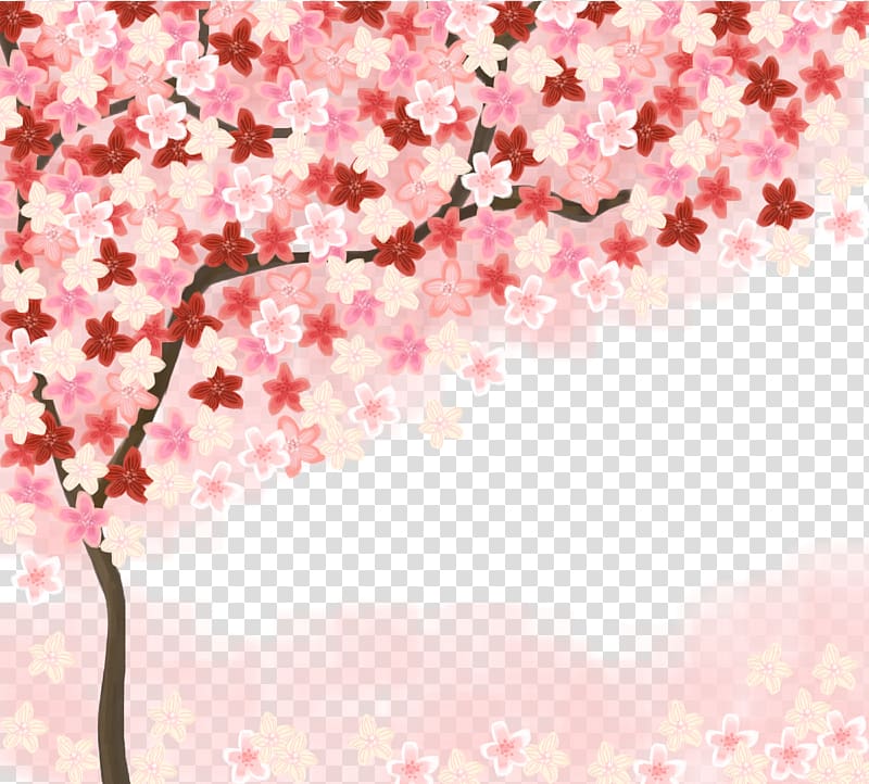 Paper Cherry blossom , Pink cherry tree transparent background PNG clipart