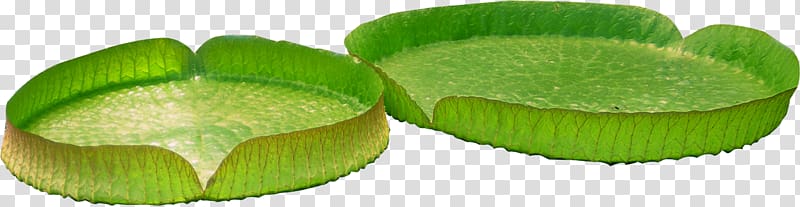 Leaf Flower , Creative green lotus transparent background PNG clipart