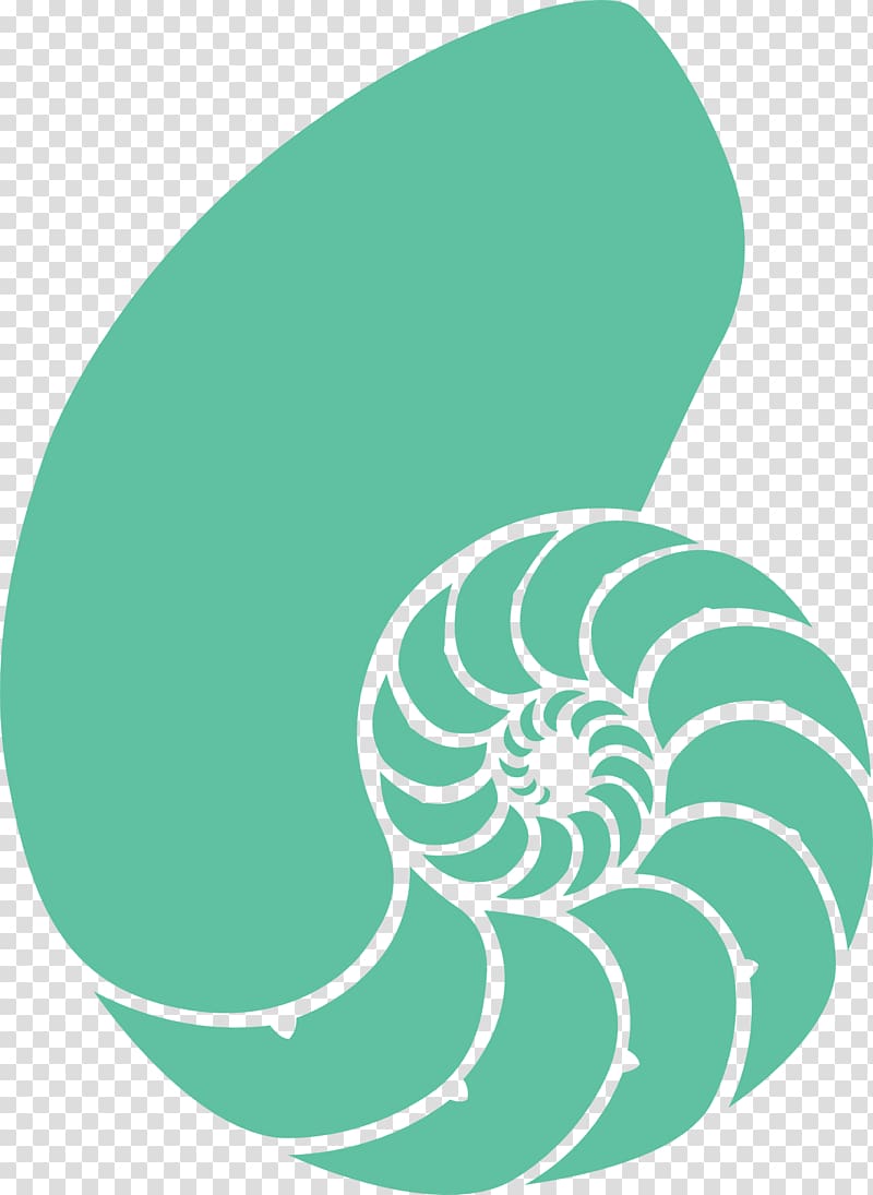 Seashell Nautilidae , Green Snail transparent background PNG clipart