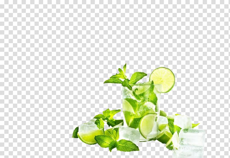 Mojito Juice Cocktail Lemon squeezer, Drink mint leaves transparent background PNG clipart