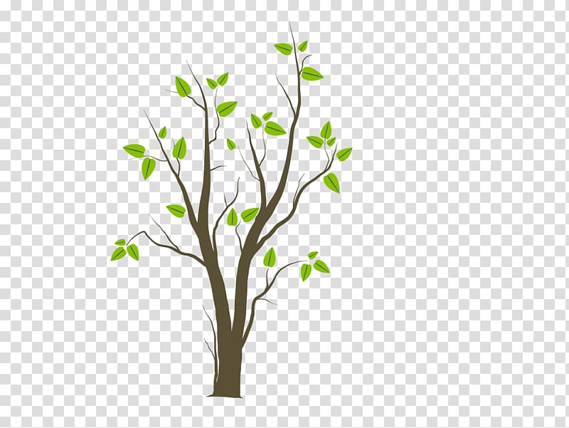 Sticker Wall decal Fruit tree Leaf, tree transparent background PNG clipart