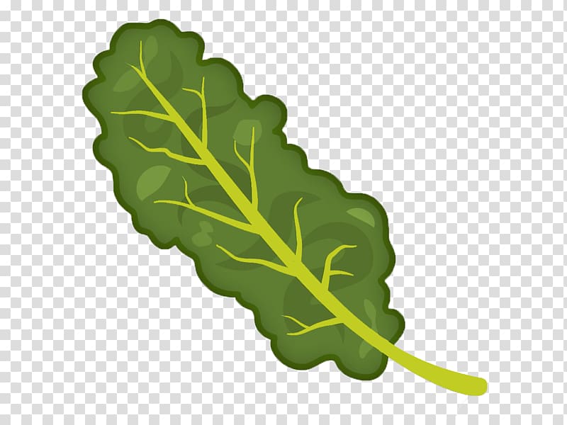 Spring greens Emoji Emoticon Collard greens , Kale transparent background PNG clipart