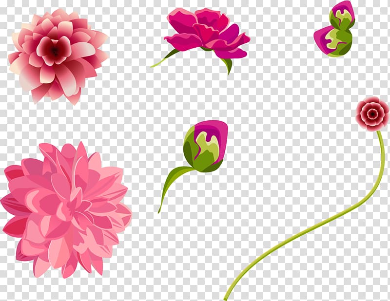 Flower Euclidean Adobe Illustrator, Flowers of different states transparent background PNG clipart