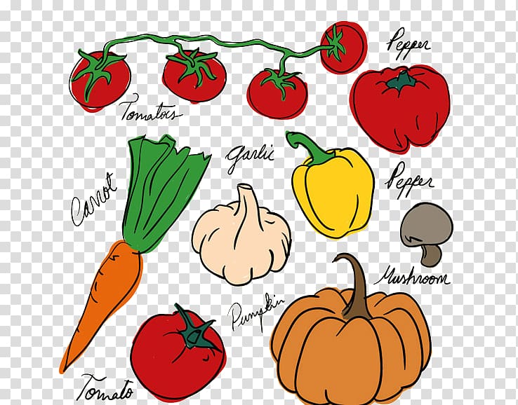 Vegetable Drawing Fruit Tomato, All kinds of vegetables transparent background PNG clipart