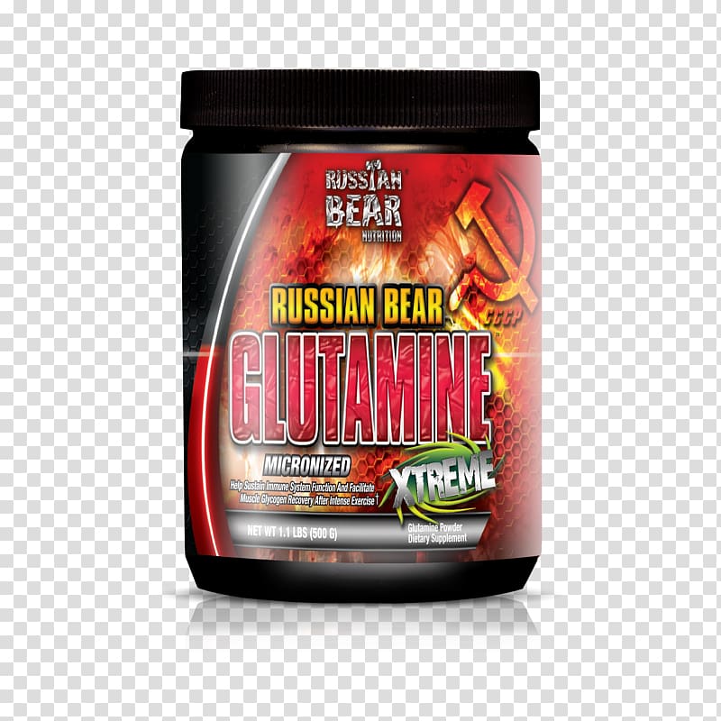 Dietary supplement Russian Bear Glutamine Bodybuilding supplement, bear transparent background PNG clipart
