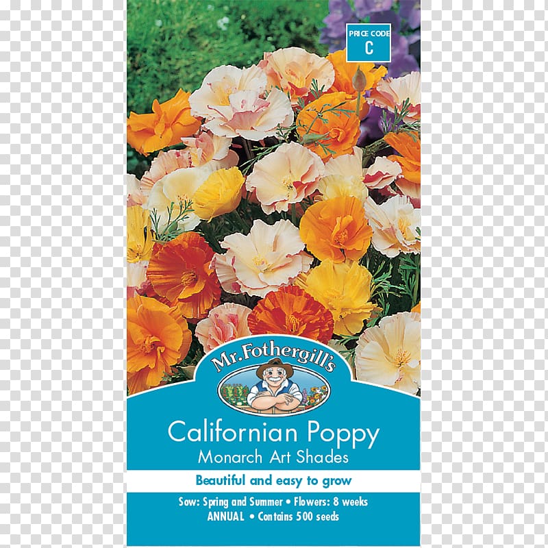 California poppy Seed Flower Annual plant, poppy seed transparent background PNG clipart