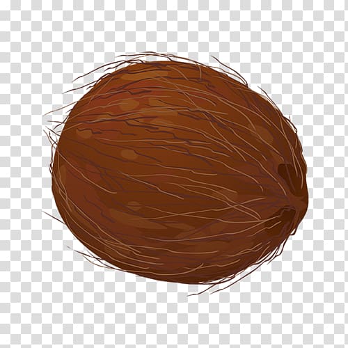 brown coconut , Chocolate Coconut, Coconut Cartoon transparent background PNG clipart