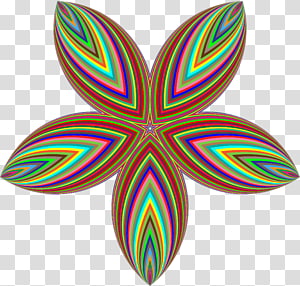 Flower , solar transparent background PNG clipart thumbnail