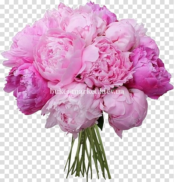 Flower bouquet Peony Wedding Roz-Market, peony transparent background PNG clipart