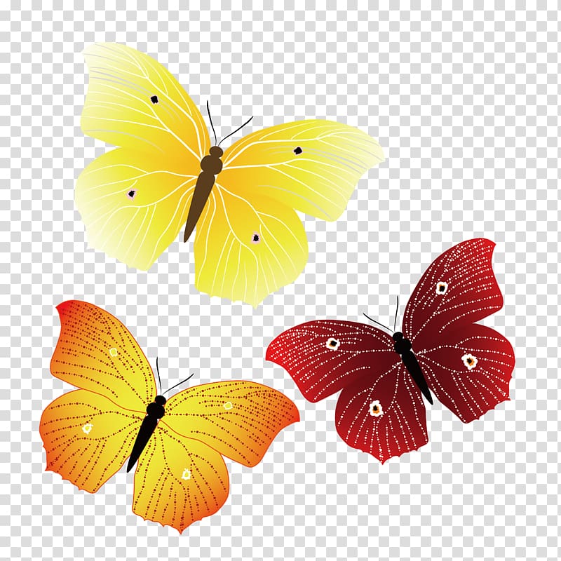 Monarch butterfly, Line butterfly Singles transparent background PNG clipart