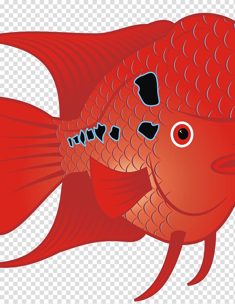 Flowerhorn cichlid Goldfish Tropical fish , fish transparent background PNG clipart
