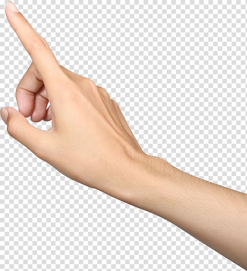 person's right hand, Index finger Hand , fingers transparent background PNG clipart