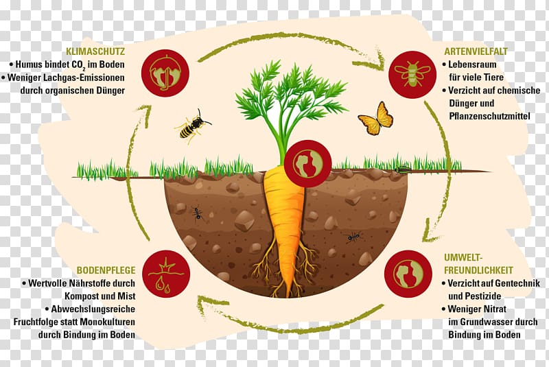 Organic food Organic farming Biodynamic agriculture Crop rotation, demeter transparent background PNG clipart