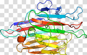 Line Point Organism , line transparent background PNG clipart thumbnail